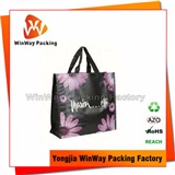 PP Non Woven Shopping Bag PP-078 Non Woven Promotional Bag