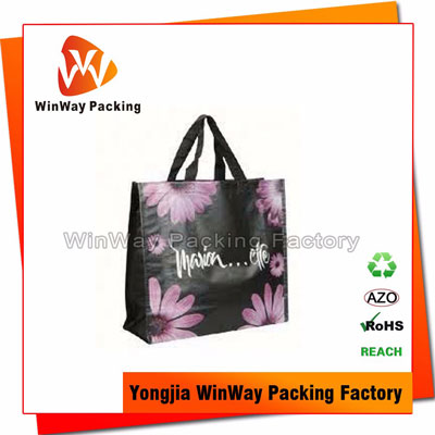 PP Non Woven Shopping Bag PP-078 Non Woven Promotional Bag