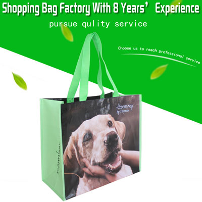 PP Woven Shopping Bag PP-103 Woven Shopping Bag