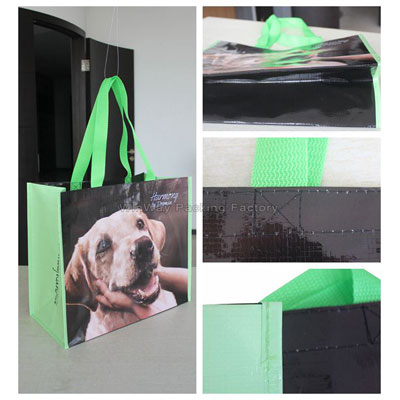 PP Woven Shopping Bag PP-103 Woven Shopping Bag