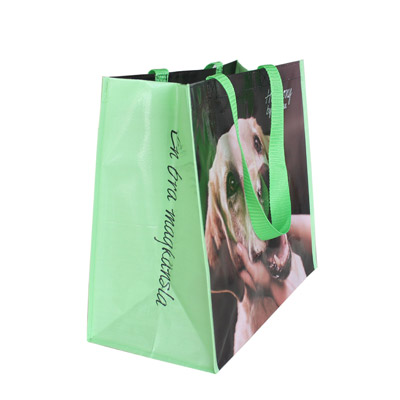 PP Woven Shopping Bag PP-103 Woven Shopping Bag