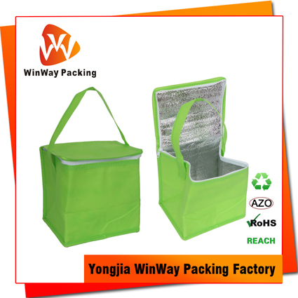 ICE-046 Cheap Price Zipper Closure Reusable Non-Woven Cooler Bag