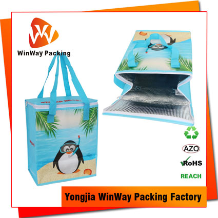 ICE-038 High Quality Zipper Closure Aluminium Film PP Non Woven Folding Cooler Bag