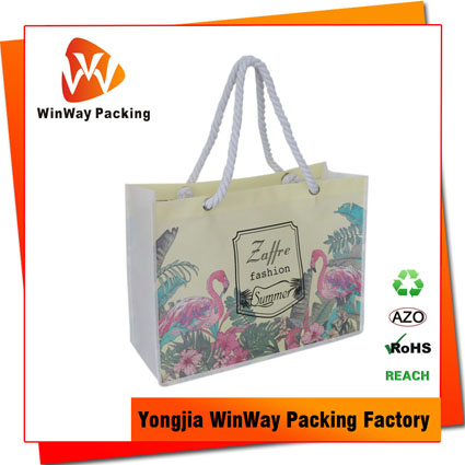 NW-173 New design Promotional recyclable full color printing pp non woven bag
