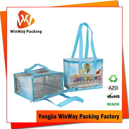 ICE-037 USA Market Cheap Price Laminated PP Non Woven Cooler Bag