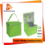 Cooler Bag ICE-046 Cheap Price Zipper Closure Reusable Non-Woven Cooler Bag