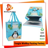 Cooler Bag ICE-038 High Quality Zipper Closure Aluminium Film PP Non Woven Folding Cooler Bag