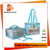 Cooler Bag ICE-037 USA Market Cheap Price Laminated PP Non Woven Cooler Bag