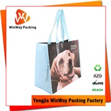 PP Woven Shopping Bag Eco Friendlly Bolsas Personalizadas PP-101