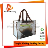 PP Non Woven Shopping Bag PNW-005 Recycled Non Woven Polypropylene Tote Bag