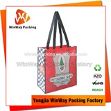 PP Non Woven Shopping Bag PNW-008 Plastic Board Reinforced Coated Non Woven Promotional Bag