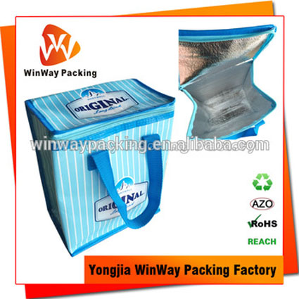 ICE-035 Cheap Price Waterproof PP Non Woven Cooler Bag