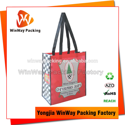 PNW-008 Plastic Board Reinforced Coated Non Woven Promotional Bag