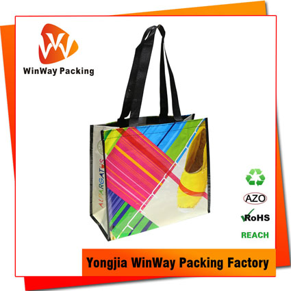 PP-110 Woven Reusable Shopping Bag