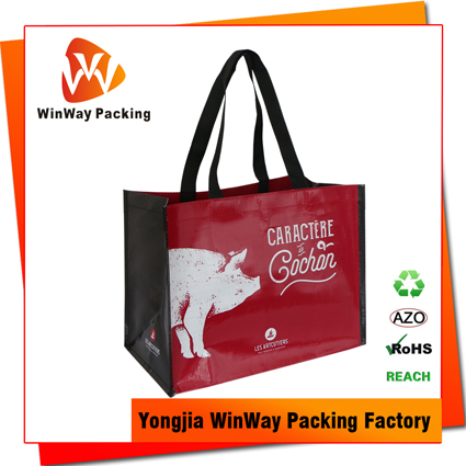 Reusable Advertising PP-120 Woven Shopping Bag